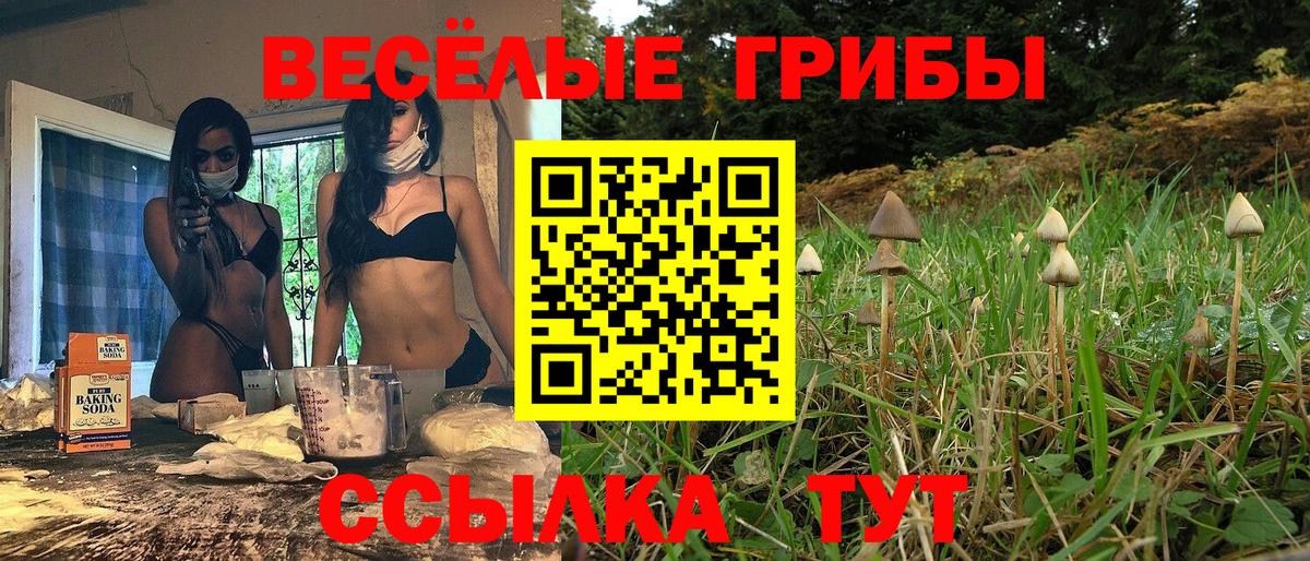 Галлюциногенные грибы MAGIC MUSHROOMS  Вход с VPN  Ялуторовск 